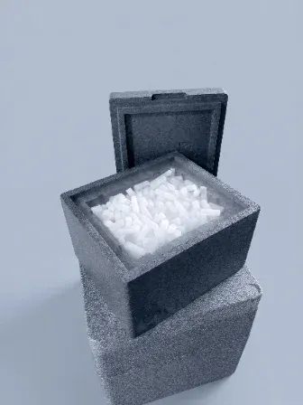 Caja de hielo seco de 5 kg